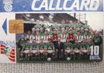 callcard telecom Eireann USA 94