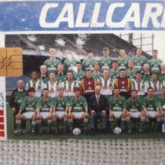 callcard telecom Eireann USA 94