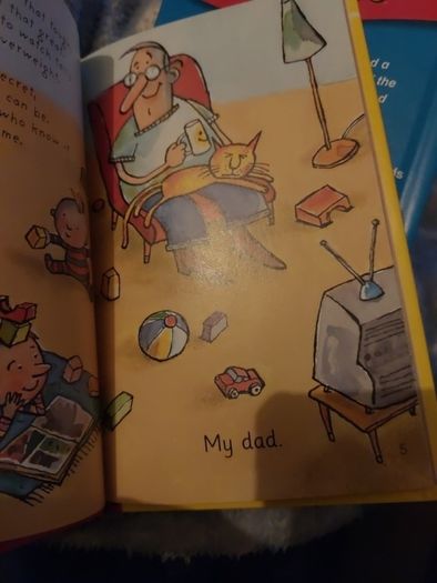 Ladybird ; The hairy bear scare ; Phonics (382)
