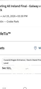 Hurling Final Ticket Swap