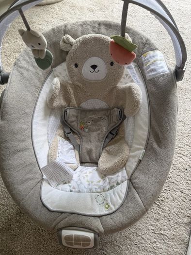Baby Bouncer