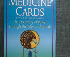 Medicine Cards, Power animal oracle cards, New, Oracle cards,