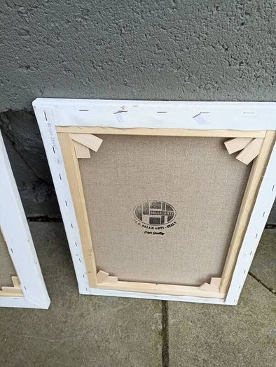2 X Canvas paintings