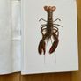 BBC Books The Good Cook by Simon Hopkinson Image 5
