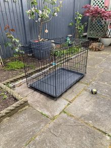 Dog Cage