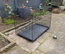 Dog Cage