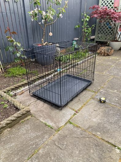 Dog Cage