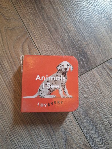 Lovevery The Thinker Play Guide 11-12 Months