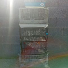 canary cage