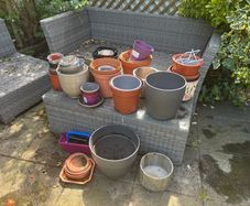 plant pots