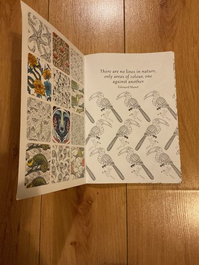 Zen colouring book for adults Brand New