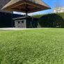 Artificial Grass 40mm Free Delivery Image 3