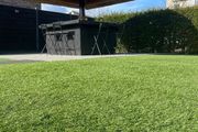 Artificial grass 40mm Free Delivery