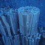 Kindling Sticks (can deliver) Image 3