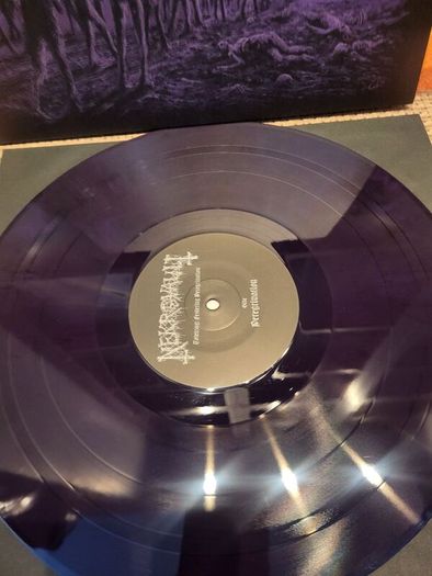 Nekrovault - Totenzug: Festering Peregrination