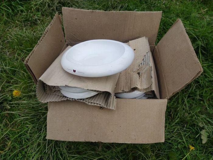 Cat bowls x 15