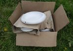 Cat bowls x 15
