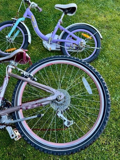 FREE: 2x Kids Bicycles