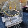 New Parrot/bird Cage Starter Kit + Tons of Accessories Image 2