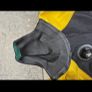 Scuba Diving Image 6