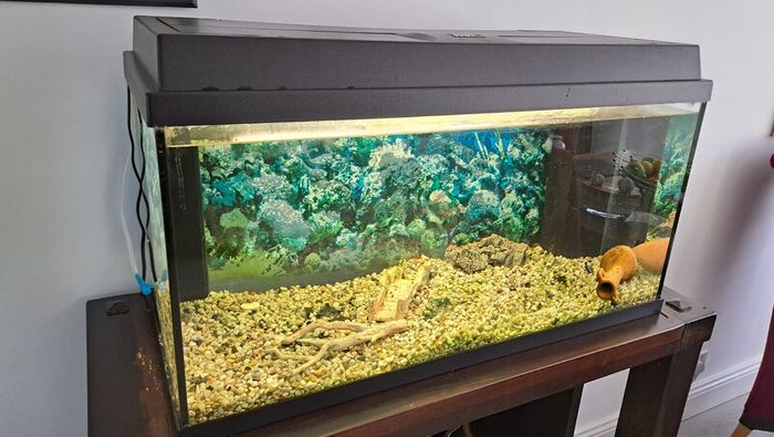 Juwel Aquarium for sale
