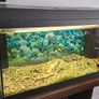 Juwel Aquarium for sale Image 4