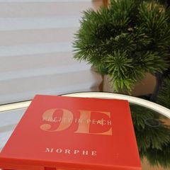 Morphe 9E Pretty In Peach Artistry Palette