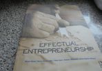 Effective Entrepreneurship Book for Sale