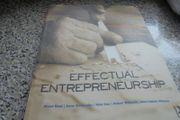 Effective Entrepreneurship Book for Sale