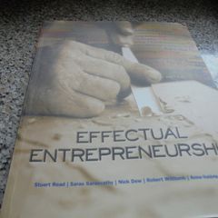 Effective Entrepreneurship Book for Sale
