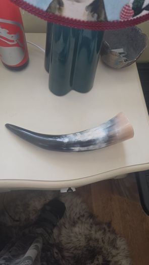 viking drinking horn handmade at the hill of uisneach summer solstice festival
