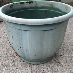 Garden Pot