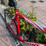 Giant Road Bike - Excellent Condition, Well Maintained Image 2