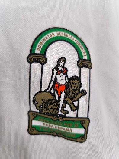 Andalusia nike football jersey