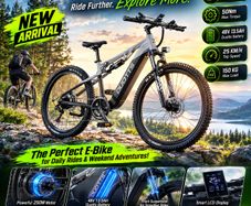 DUOTTS E29 Electric Bike