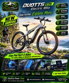 DUOTTS E29 Electric Bike