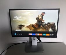dell monitor gaming/professional