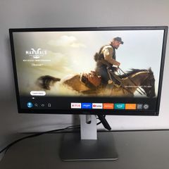 dell monitor gaming/professional