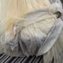 debs dress Image 4