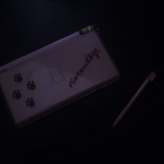 Pink Nintendo DS Lite