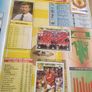 Merlin's Premier League 95 Sticker Collection 90% Complete - Poor Condition Image 6