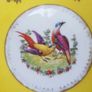Antique Beyer & Bock China tea set. Image 8