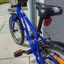 Frog bike Image 5