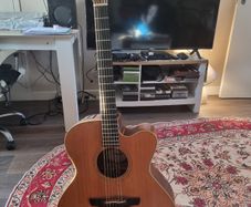 Takamine EN20 , vintage[1986]