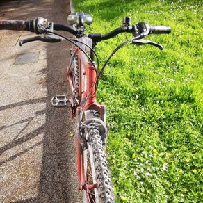 21 speed mountain bike