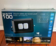 Lumeno 100W Flood Light