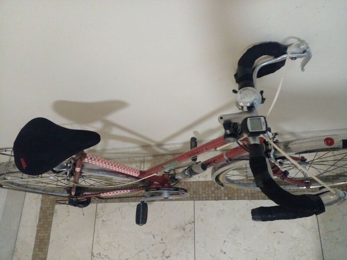Dawes womens racer