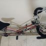 Dawes womens racer Image 2