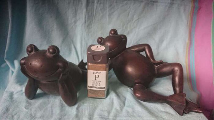 Happy frogs