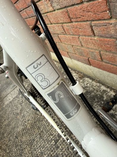 Giant Liv Alight 3 Hybrid Bike